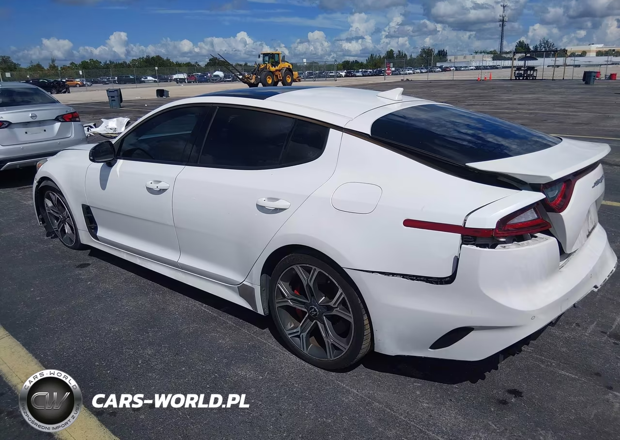 2019 Kia Stinger Gt2 VIN:KNAE55LC4K6044316 - 3