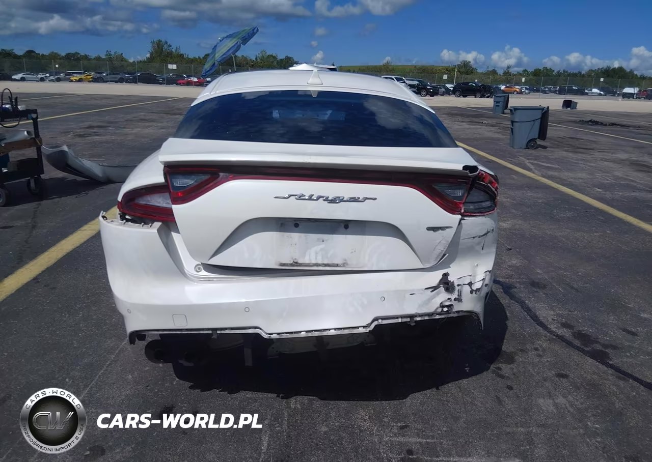 2019 Kia Stinger Gt2 VIN:KNAE55LC4K6044316 - 6