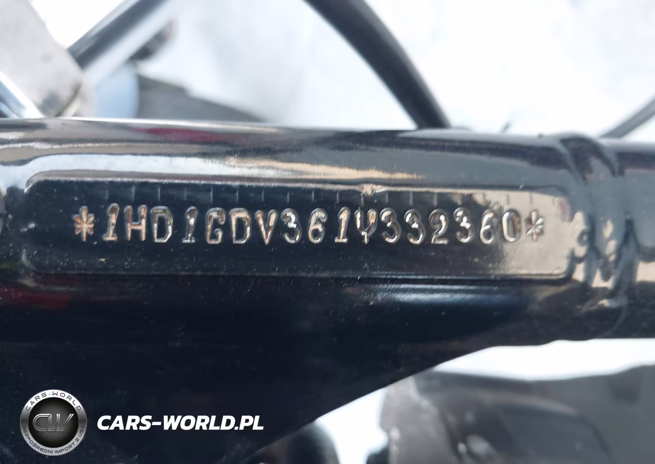 2001 Harley-Davidson Fxdl VIN:1HD1GDV361Y332360 - 10