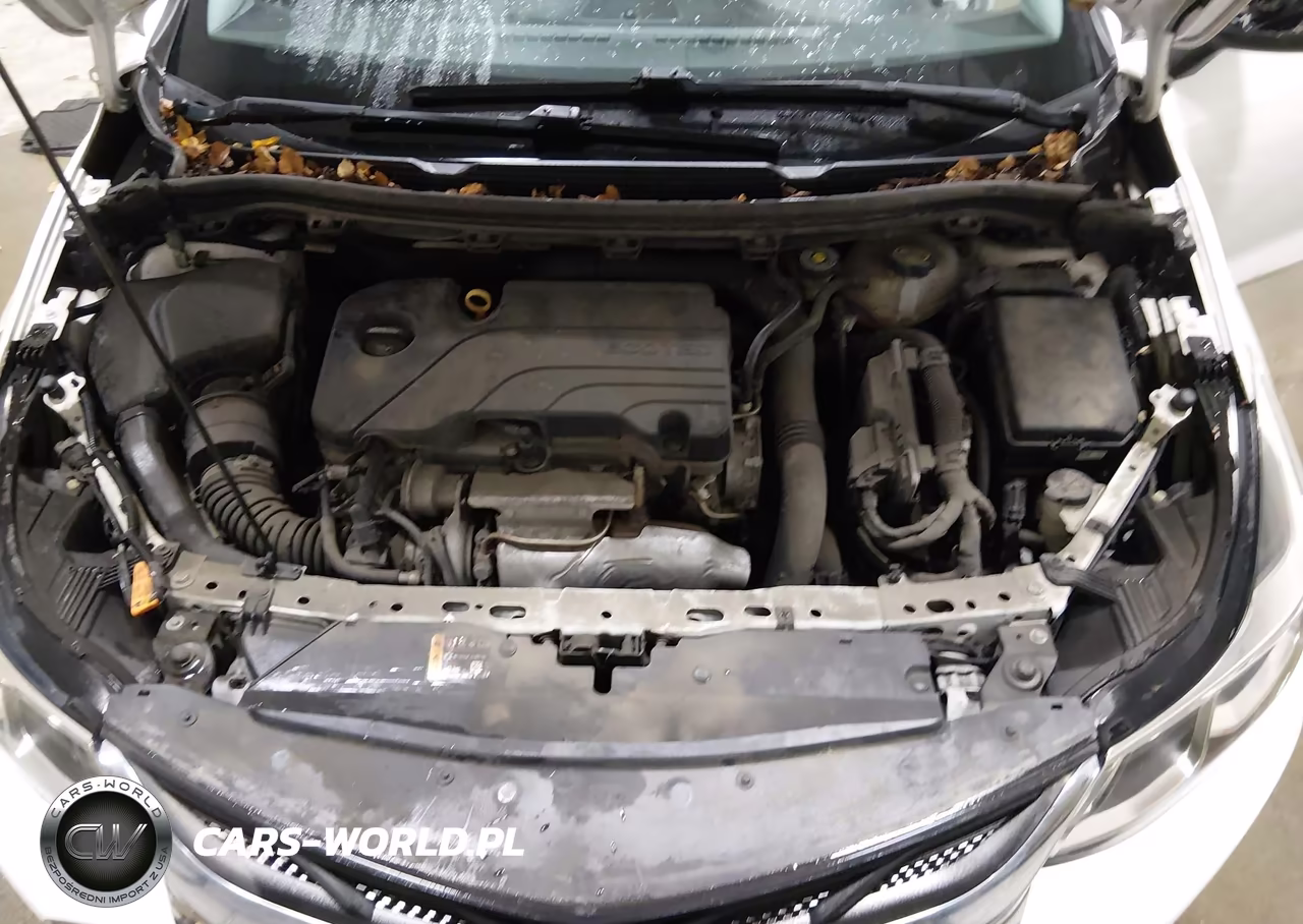2019 Chevrolet Cruze Ls VIN:1G1BC5SM8K7129569 - 10