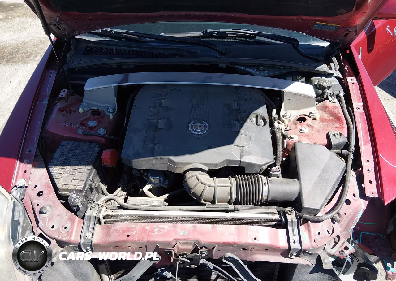 2010 Cadillac Cts Performance VIN:1G6DJ5EGXA0123701 - 10