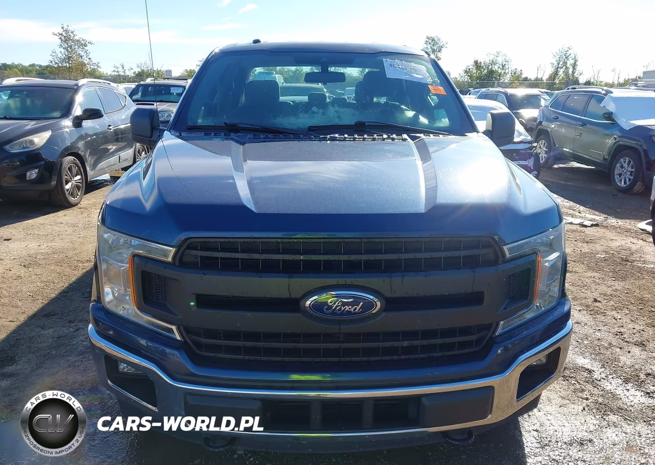 2019 Ford F-150 Xl VIN:1FTEW1EP6KFD30340 - 12