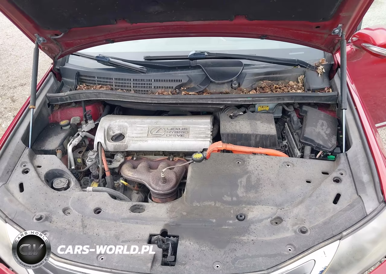 2010 Lexus Hs 250H Premium VIN:JTHBB1BA6A2029683 - 10