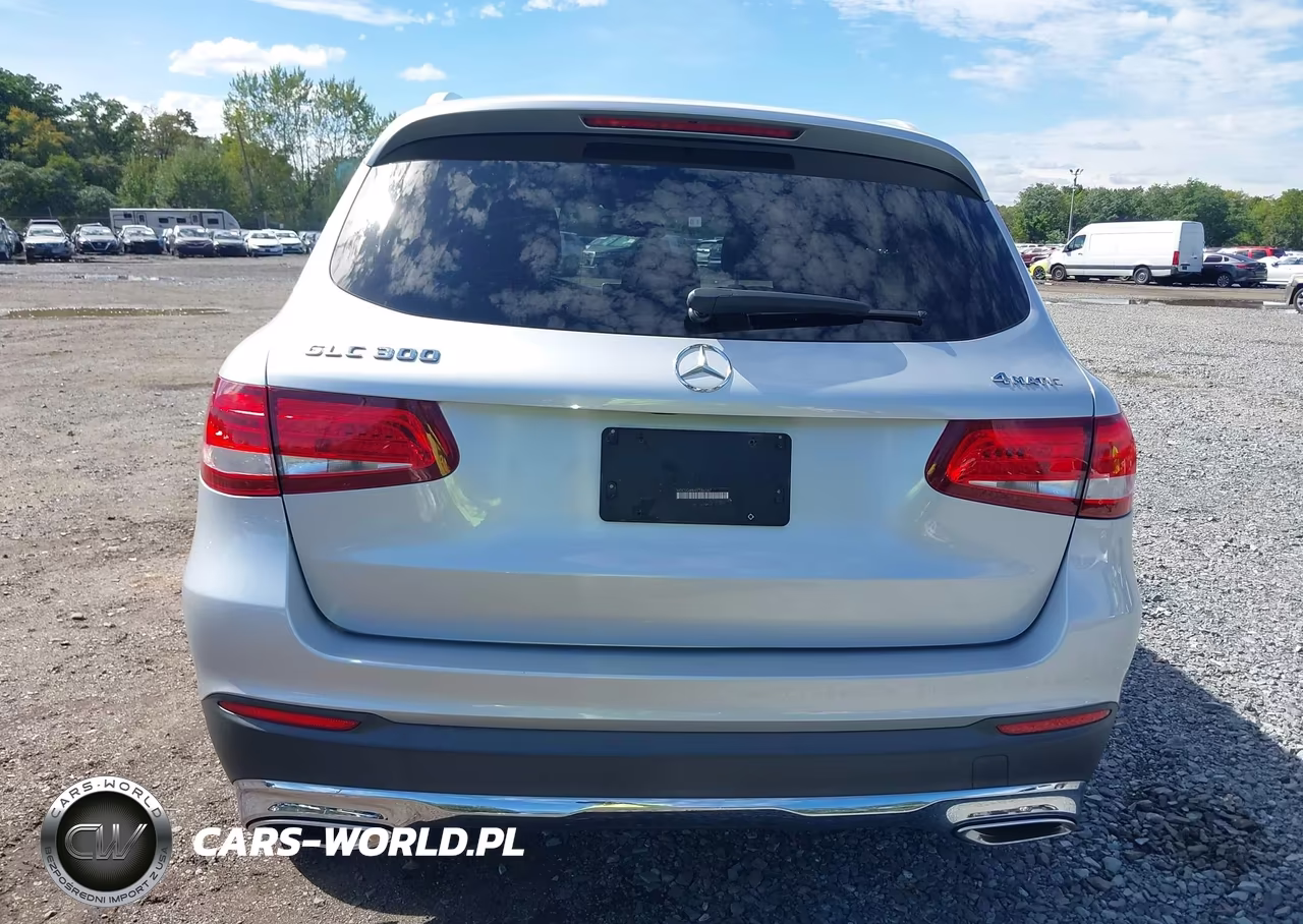 2019 Mercedes-Benz Glc 300 4Matic VIN:WDC0G4KBXKF586587 - 16