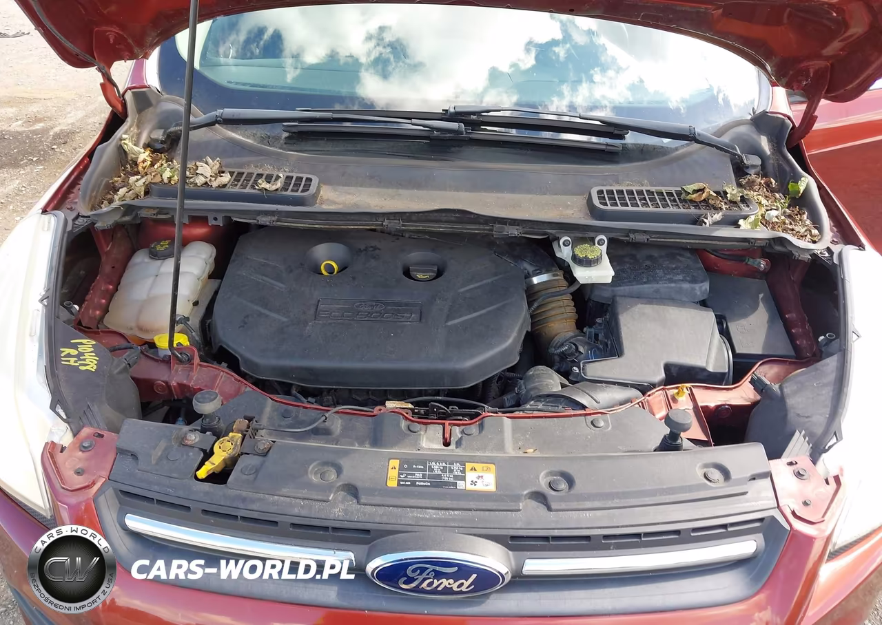 2014 Ford Escape Se VIN:1FMCU9G9XEUC09042 - 10