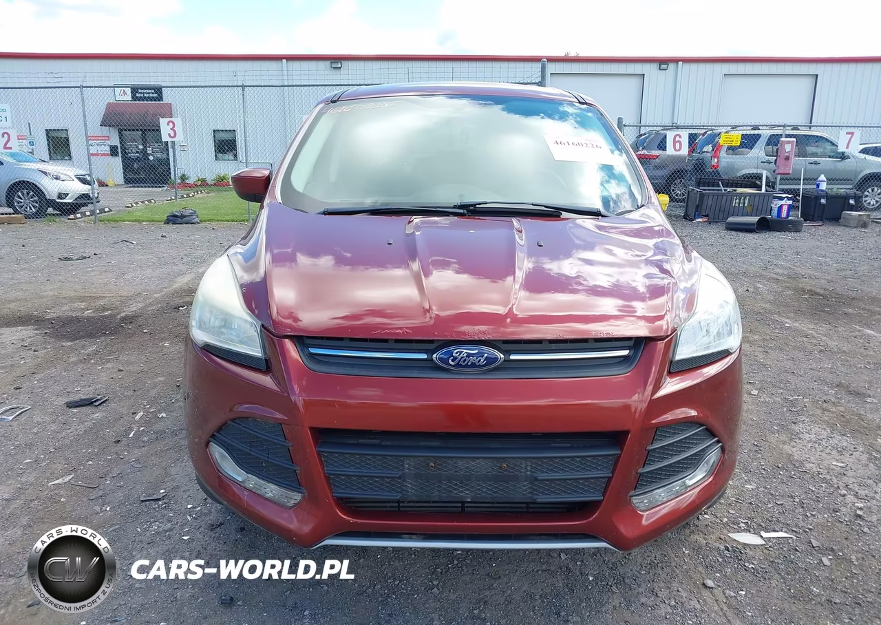2014 Ford Escape Se VIN:1FMCU9G9XEUC09042 - 12