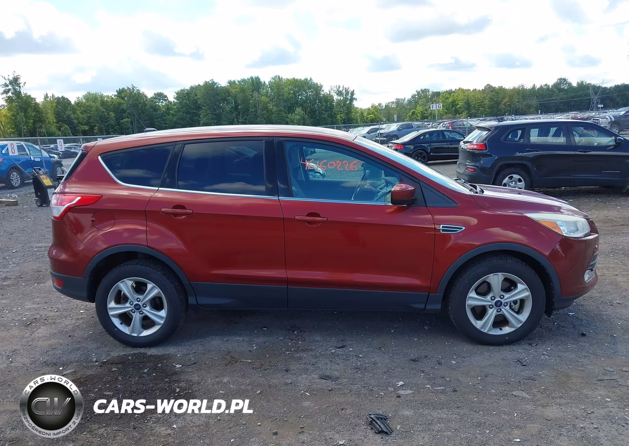 2014 Ford Escape Se VIN:1FMCU9G9XEUC09042 - 13
