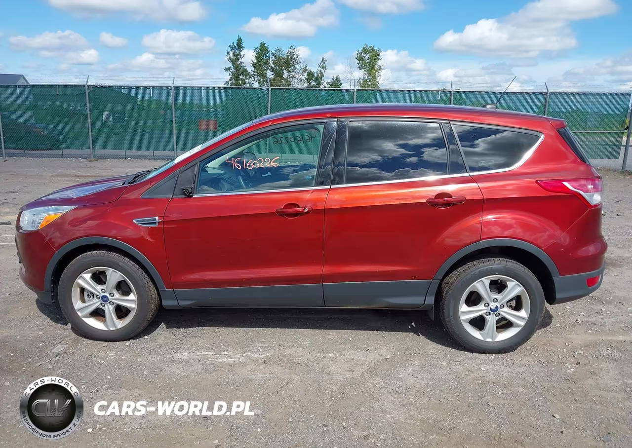 2014 Ford Escape Se VIN:1FMCU9G9XEUC09042 - 14