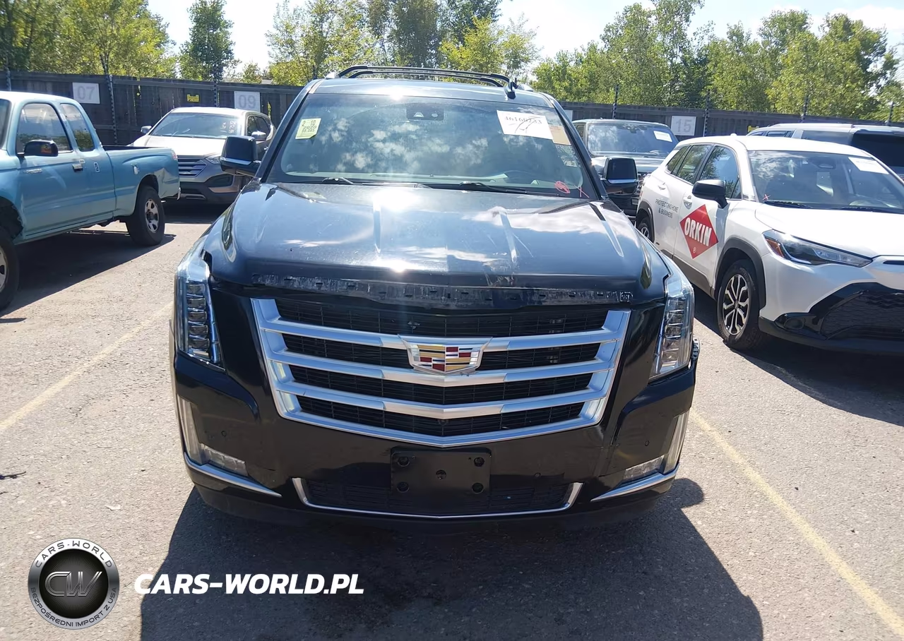 2020 Cadillac Escalade Esv 4Wd Luxury VIN:1GYS4HKJ2LR191688 - 12