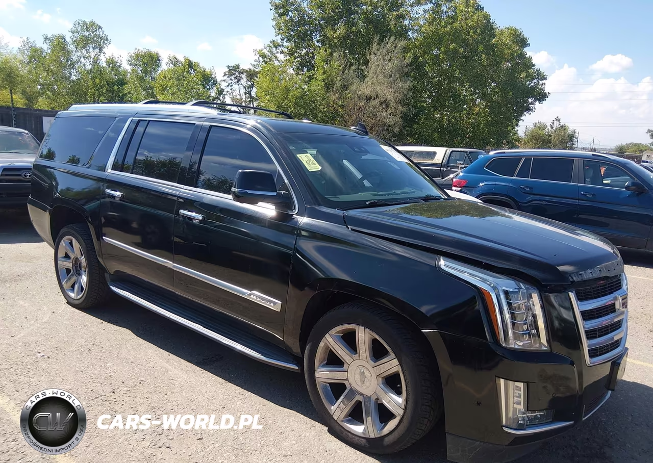 2020 Cadillac Escalade Esv 4Wd Luxury VIN:1GYS4HKJ2LR191688 - 13