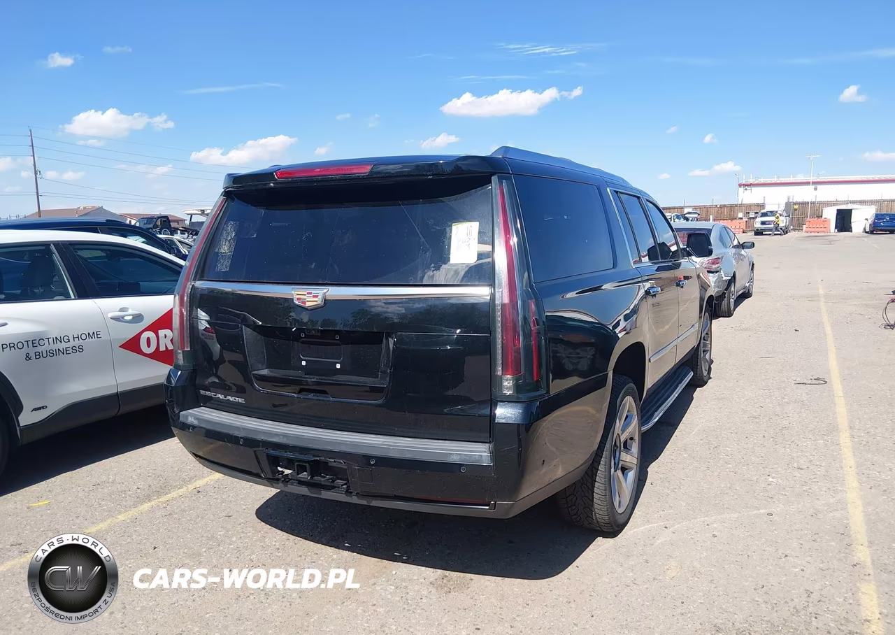 2020 Cadillac Escalade Esv 4Wd Luxury VIN:1GYS4HKJ2LR191688 - 4