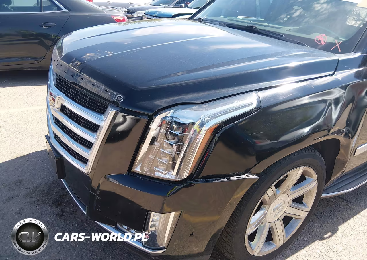 2020 Cadillac Escalade Esv 4Wd Luxury VIN:1GYS4HKJ2LR191688 - 6