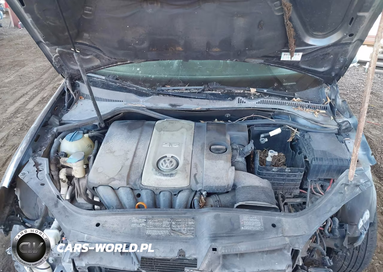 2005 Volkswagen Jetta 2.5 VIN:3VWRF71K65M620464 - 10