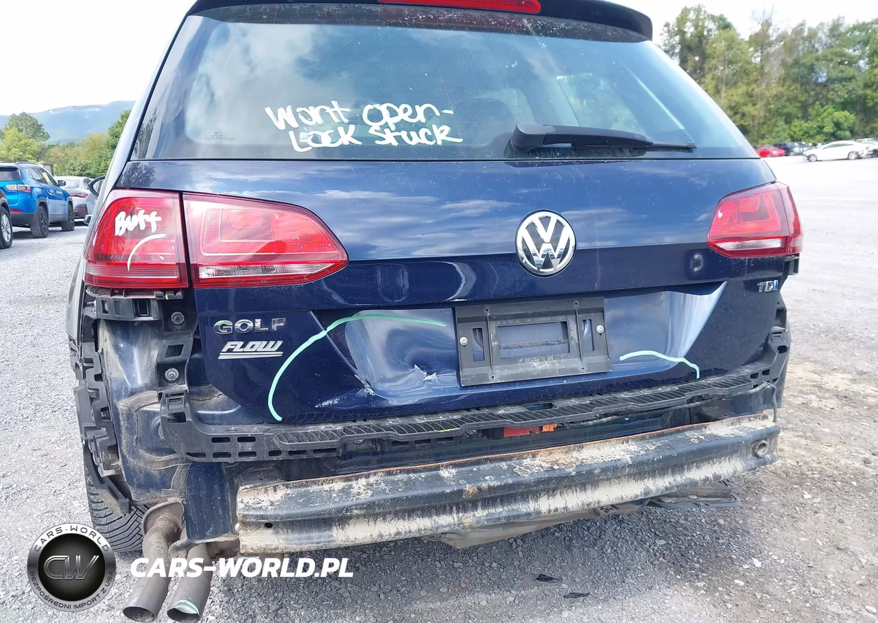 2015 Volkswagen Golf Sportwagen Tdi Se 4-Door VIN:3VWCA7AU4FM511752 - 17