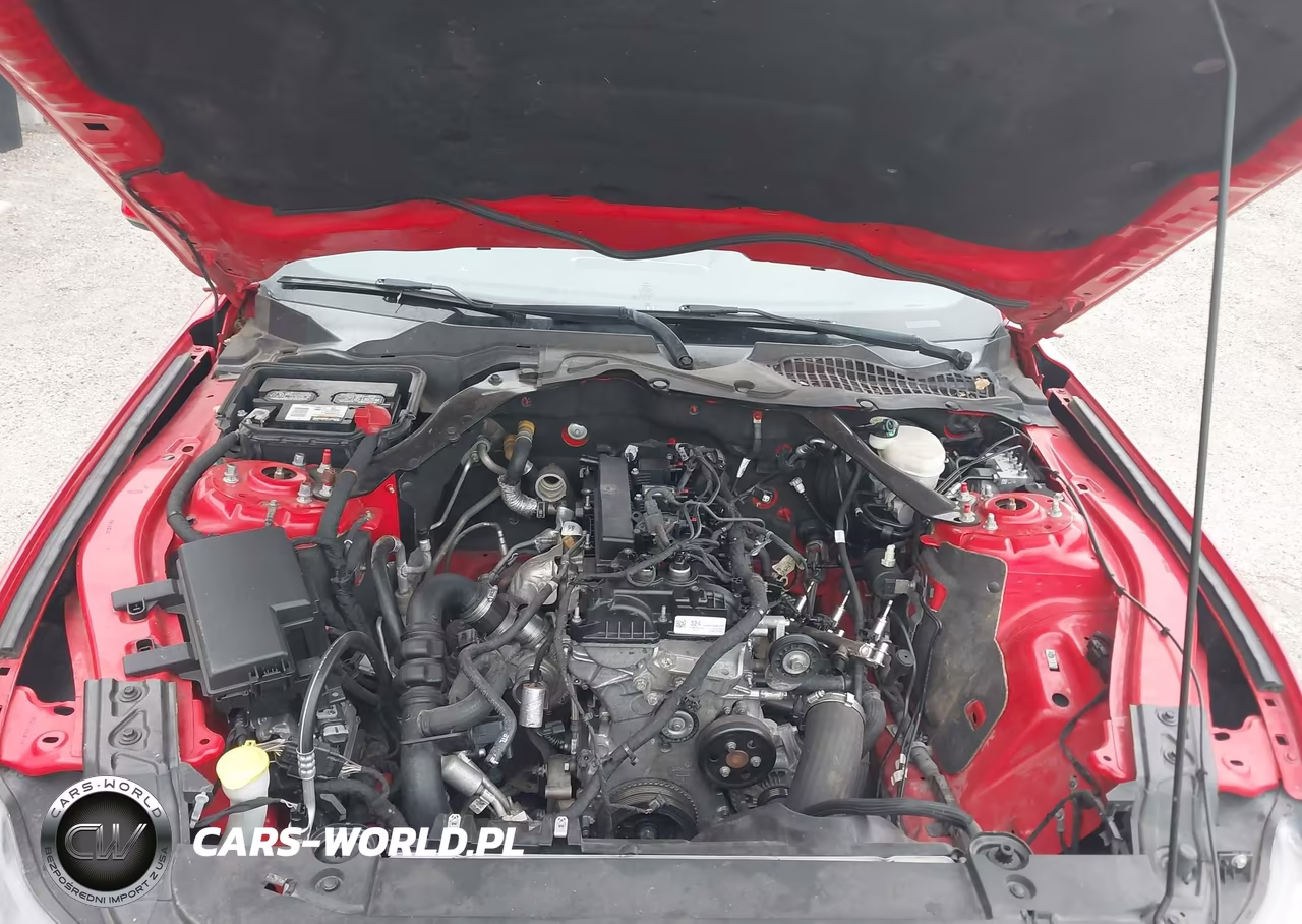 2016 Ford Mustang Ecoboost Premium VIN:1FATP8UH5G5238260 - 10