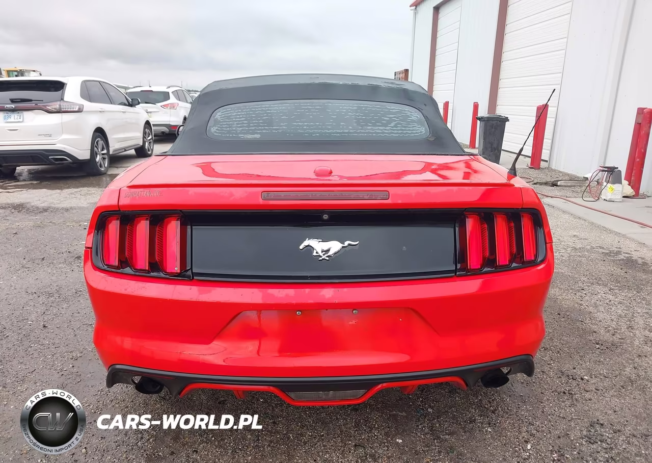 2016 Ford Mustang Ecoboost Premium VIN:1FATP8UH5G5238260 - 16