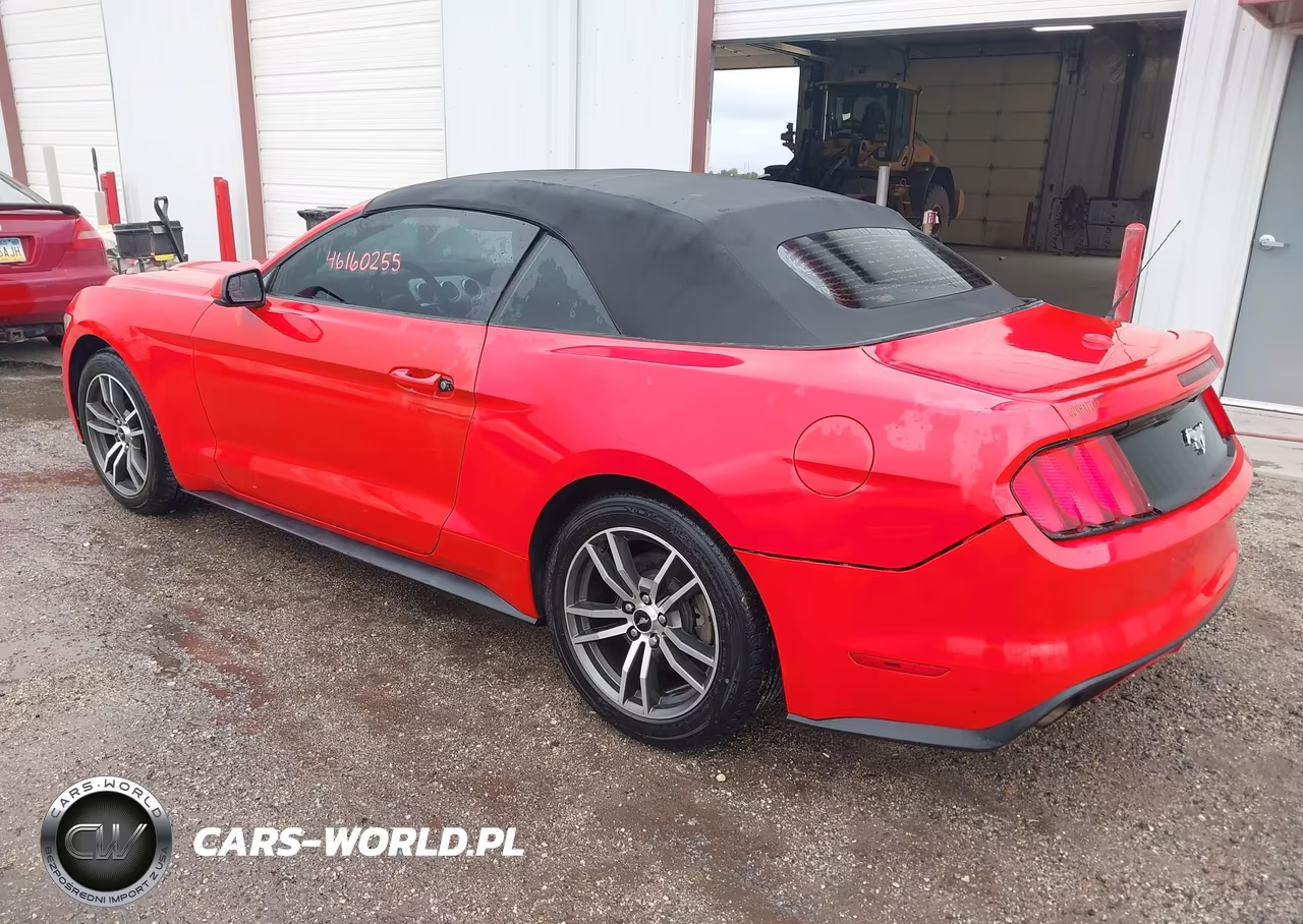 2016 Ford Mustang Ecoboost Premium VIN:1FATP8UH5G5238260 - 3
