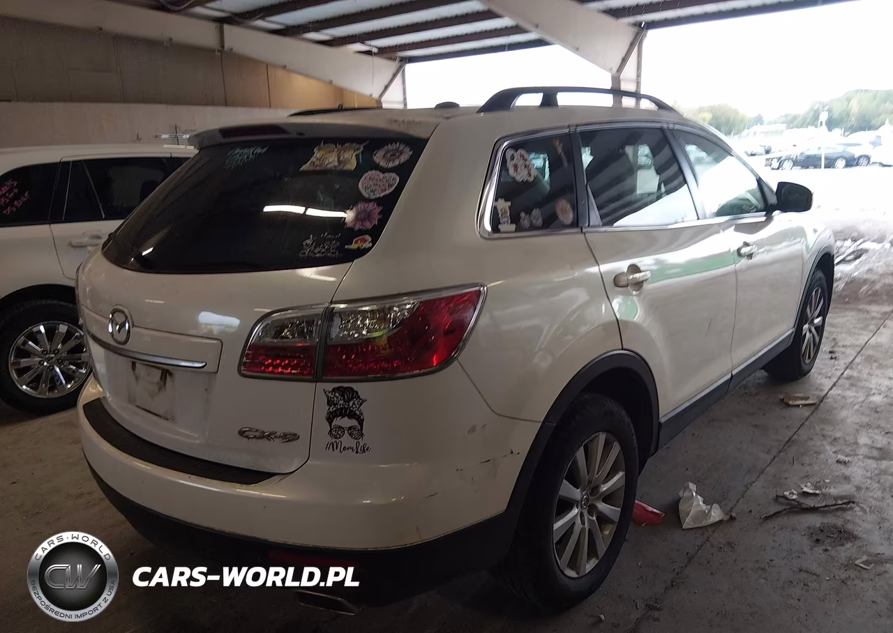 2010 Mazda Cx-9 Touring VIN:JM3TB2MA3A0235068 - 4