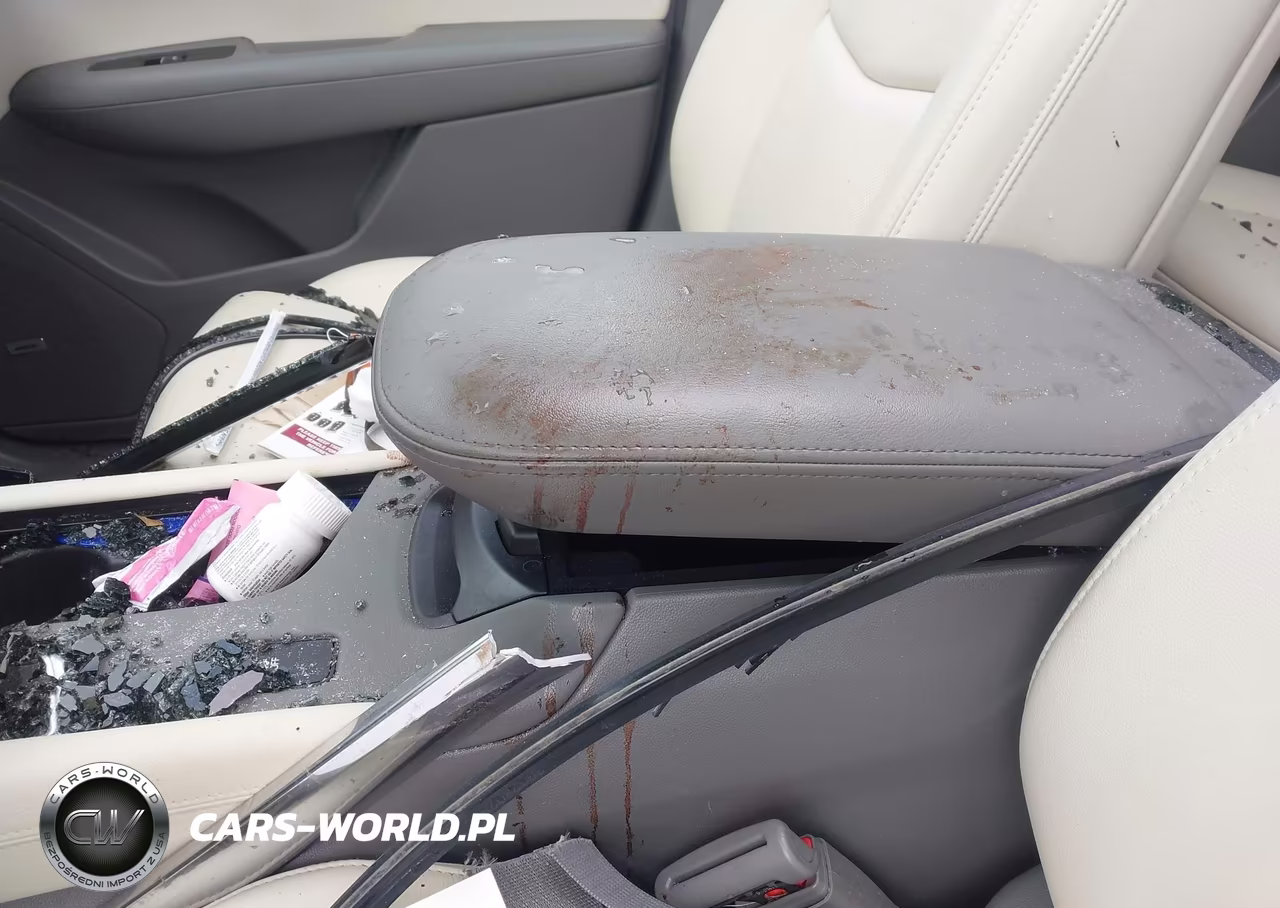 2019 Cadillac Xt5 Luxury VIN:1GYKNCRS2KZ117734 - 13
