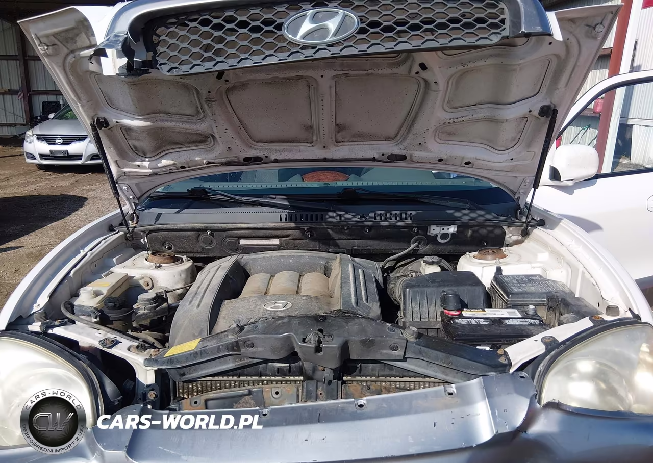 2003 Hyundai Santa Fe Gls-Lx VIN:KM8SC13DX3U564428 - 10
