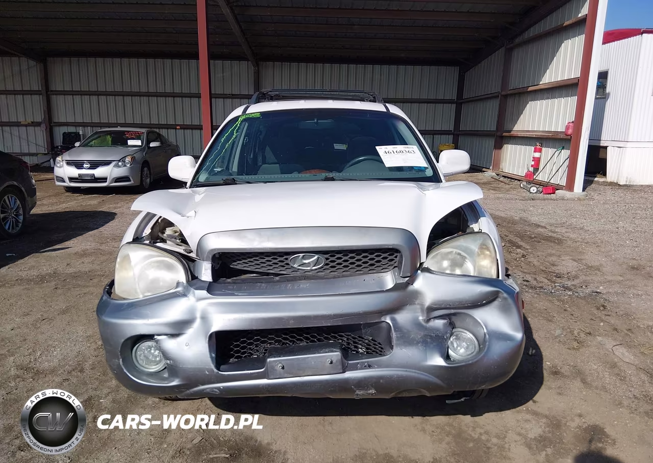 2003 Hyundai Santa Fe Gls-Lx VIN:KM8SC13DX3U564428 - 12