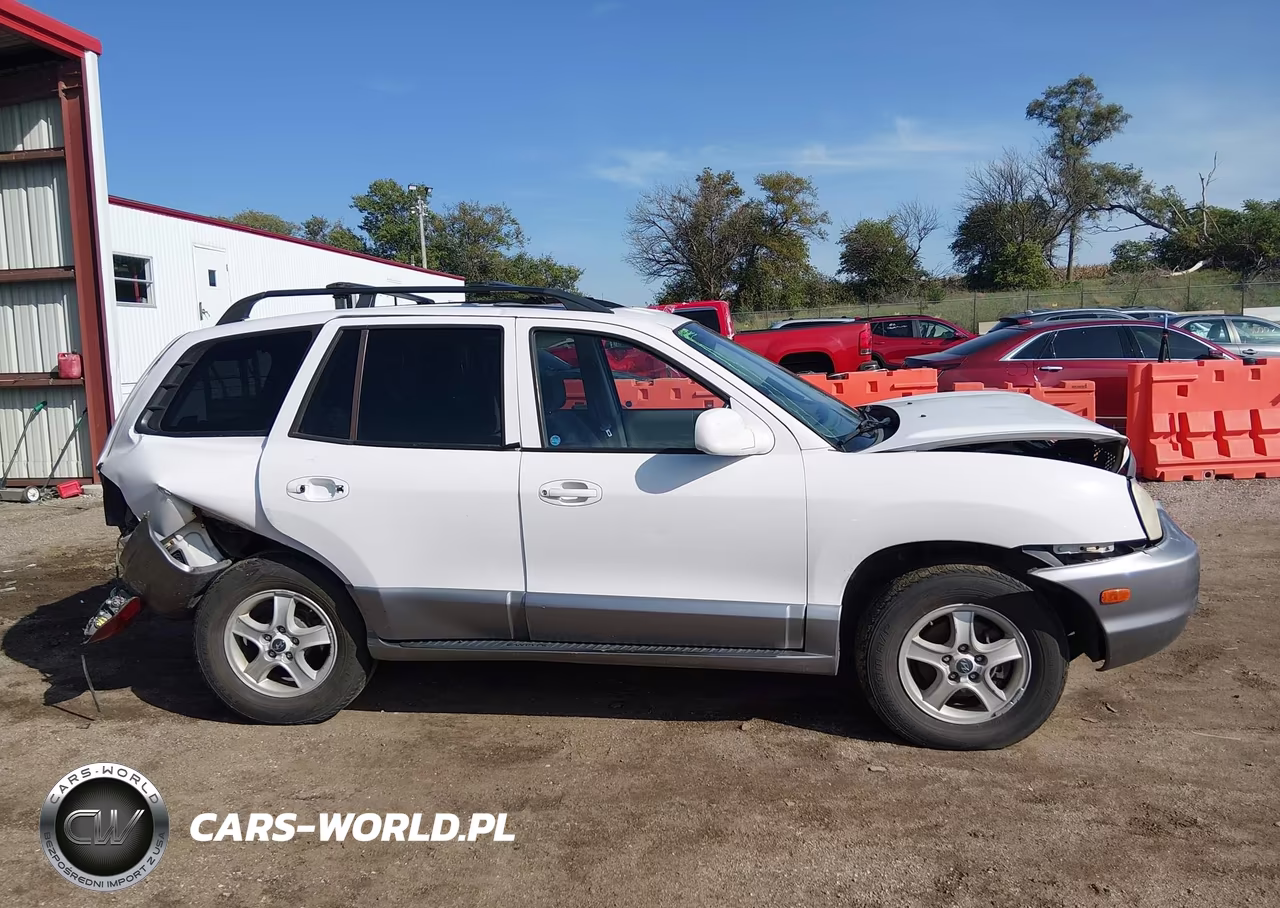 2003 Hyundai Santa Fe Gls-Lx VIN:KM8SC13DX3U564428 - 13