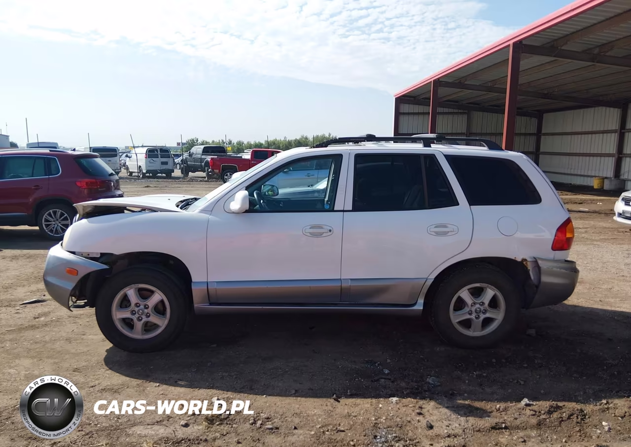 2003 Hyundai Santa Fe Gls-Lx VIN:KM8SC13DX3U564428 - 14