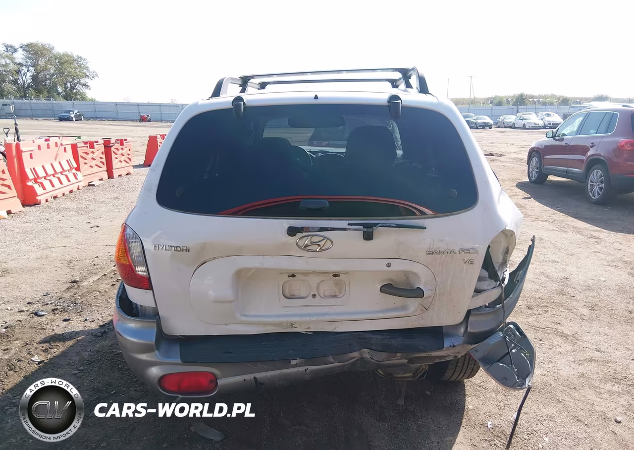 2003 Hyundai Santa Fe Gls-Lx VIN:KM8SC13DX3U564428 - 16