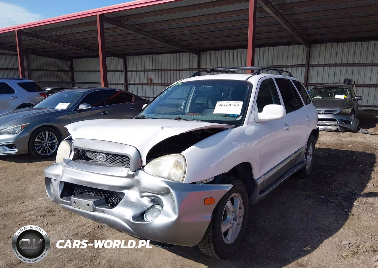 2003 Hyundai Santa Fe Gls-Lx VIN:KM8SC13DX3U564428 - 2