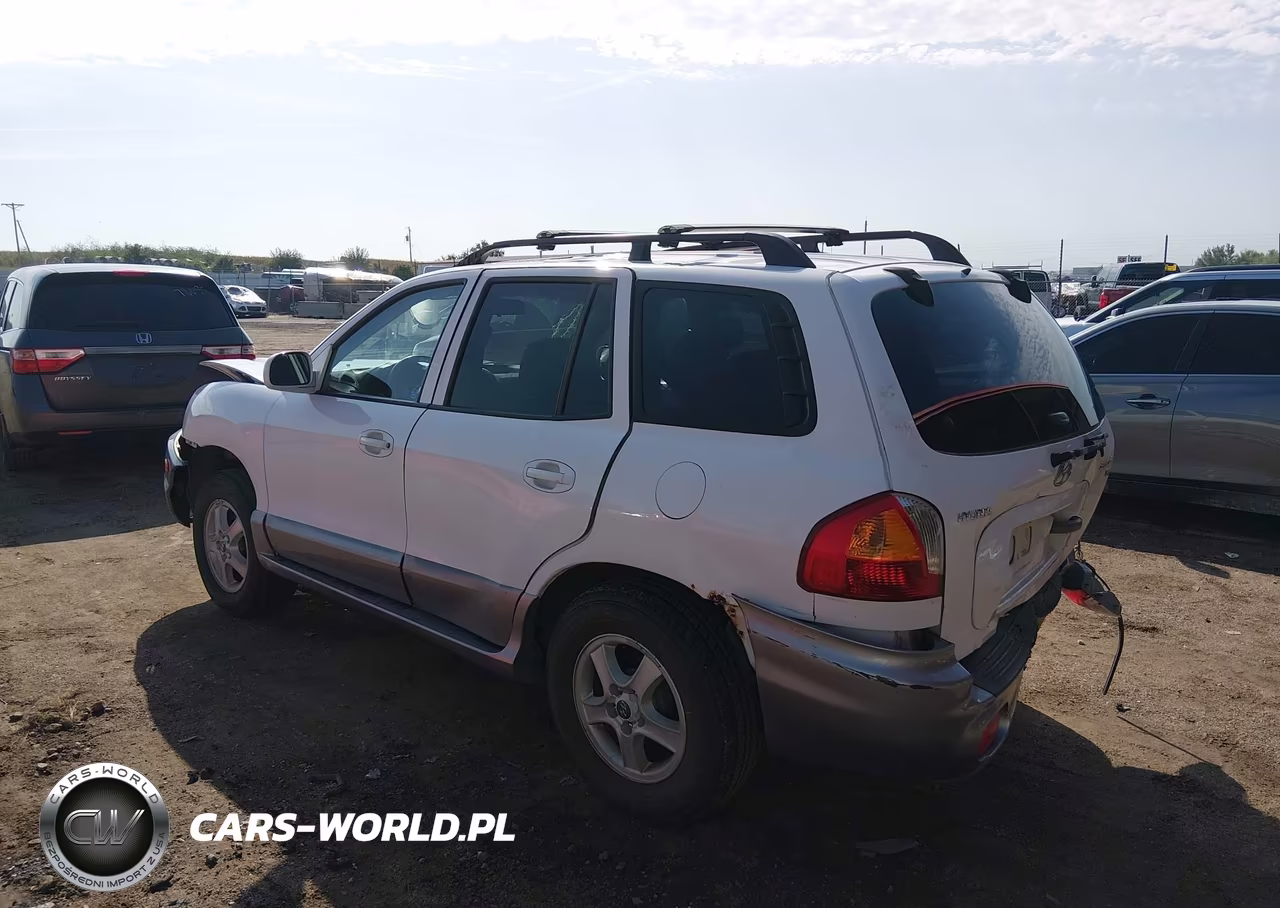 2003 Hyundai Santa Fe Gls-Lx VIN:KM8SC13DX3U564428 - 3