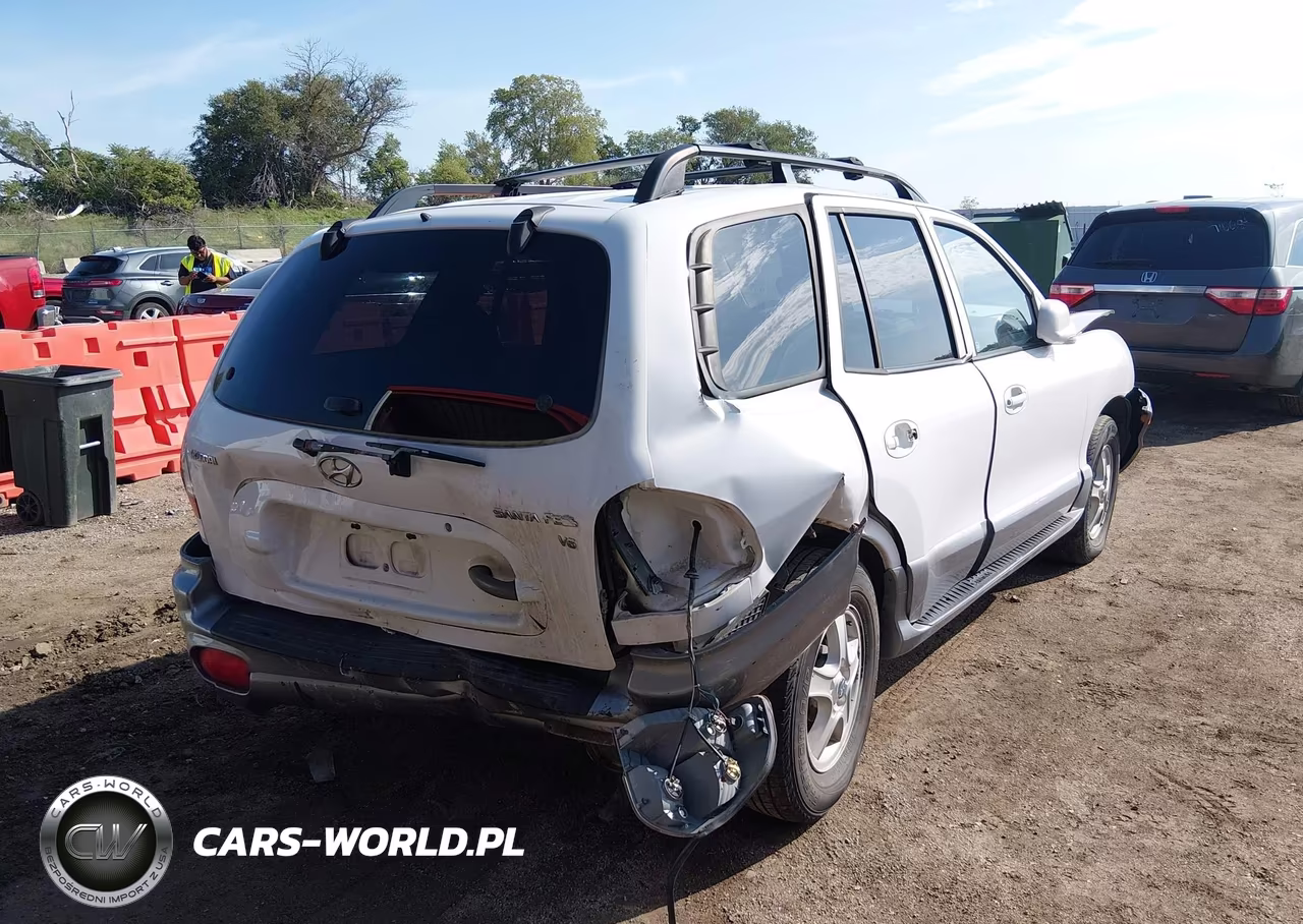 2003 Hyundai Santa Fe Gls-Lx VIN:KM8SC13DX3U564428 - 4