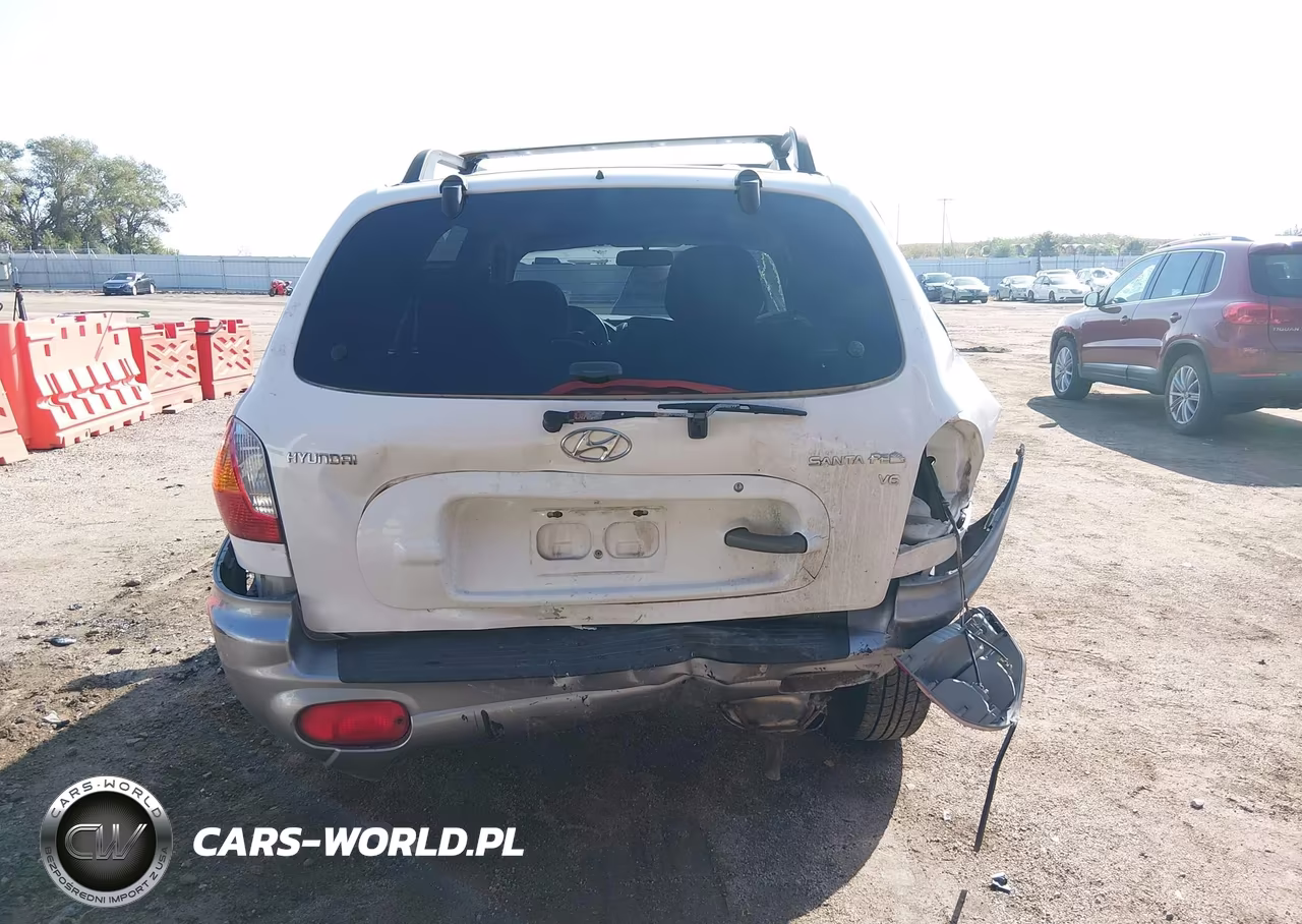 2003 Hyundai Santa Fe Gls-Lx VIN:KM8SC13DX3U564428 - 6