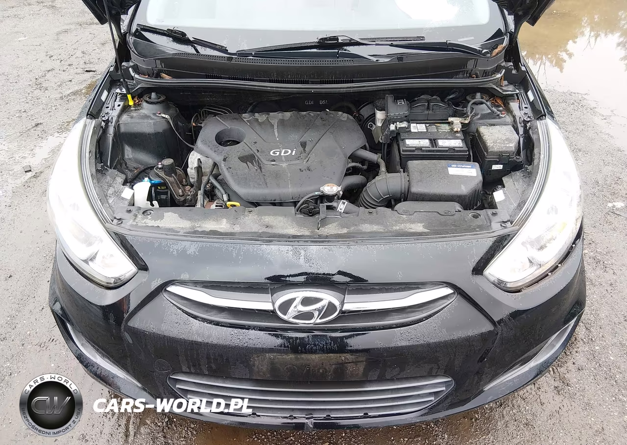 2016 Hyundai Accent Se VIN:KMHCT5AEXGU241672 - 10