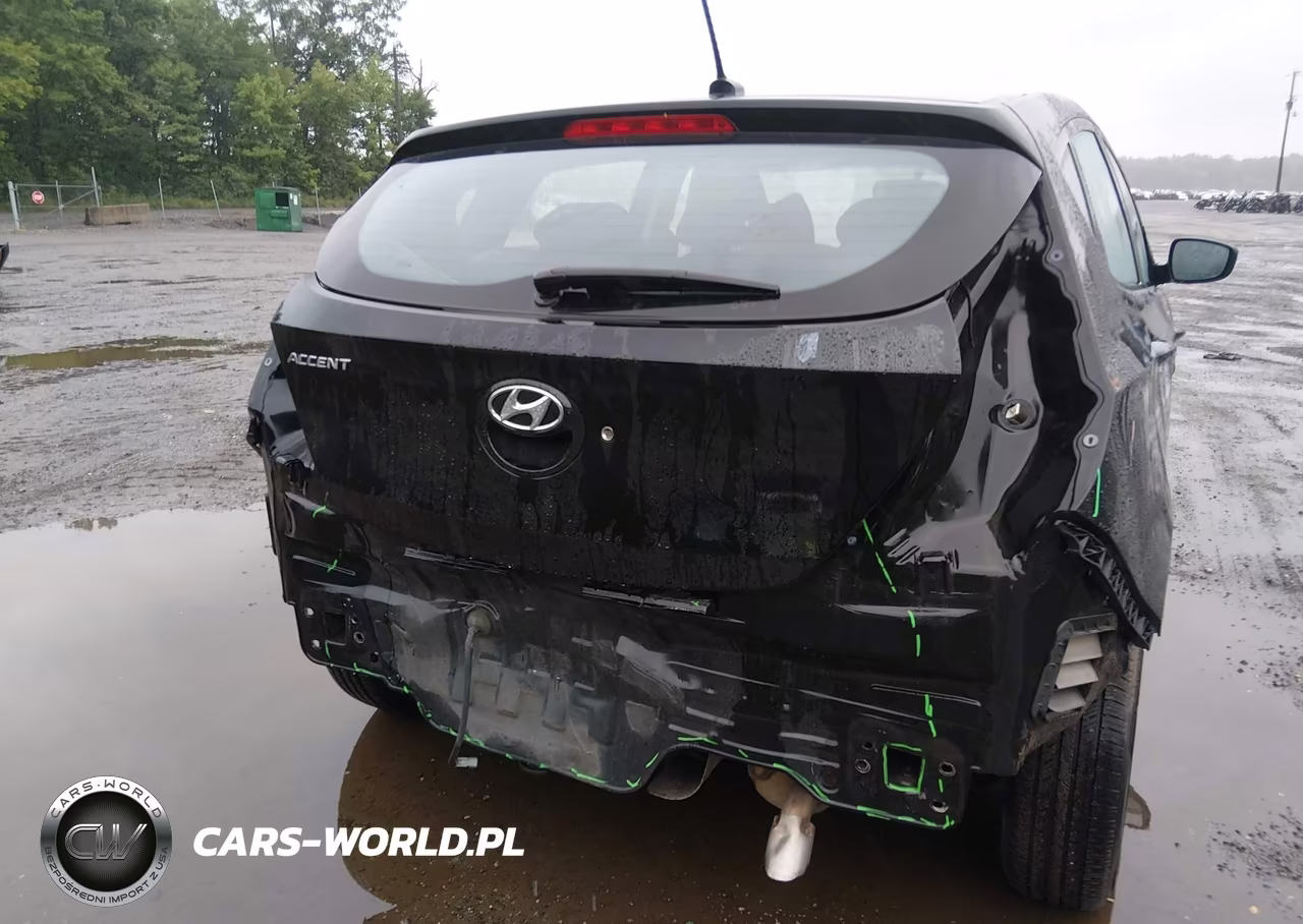 2016 Hyundai Accent Se VIN:KMHCT5AEXGU241672 - 6