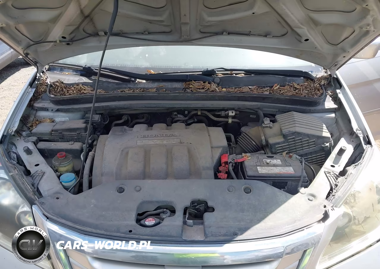 2009 Honda Odyssey Ex VIN:5FNRL38499B020608 - 10