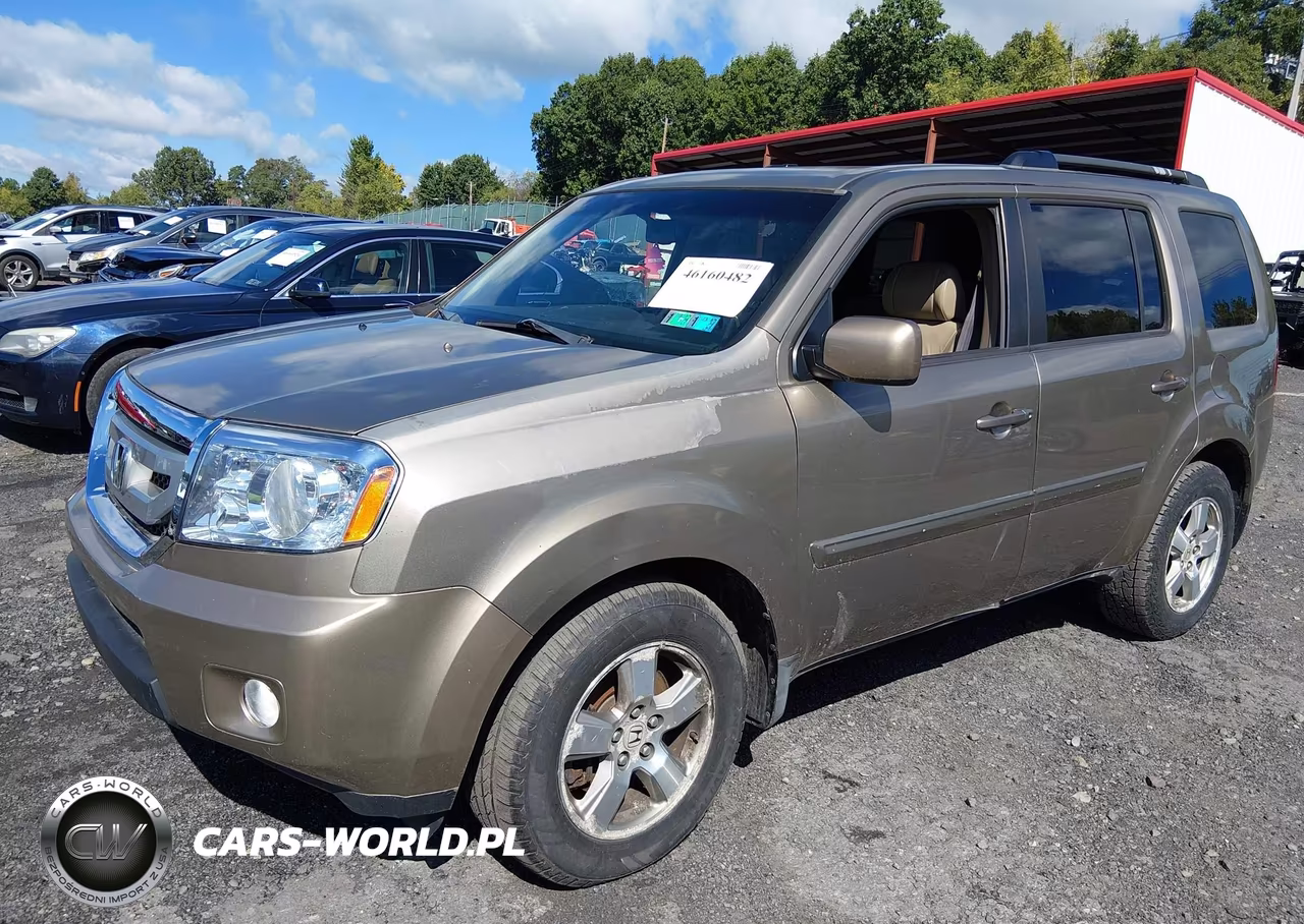 2009 Honda Pilot Ex-L VIN:5FNYF48669B036131 - 2