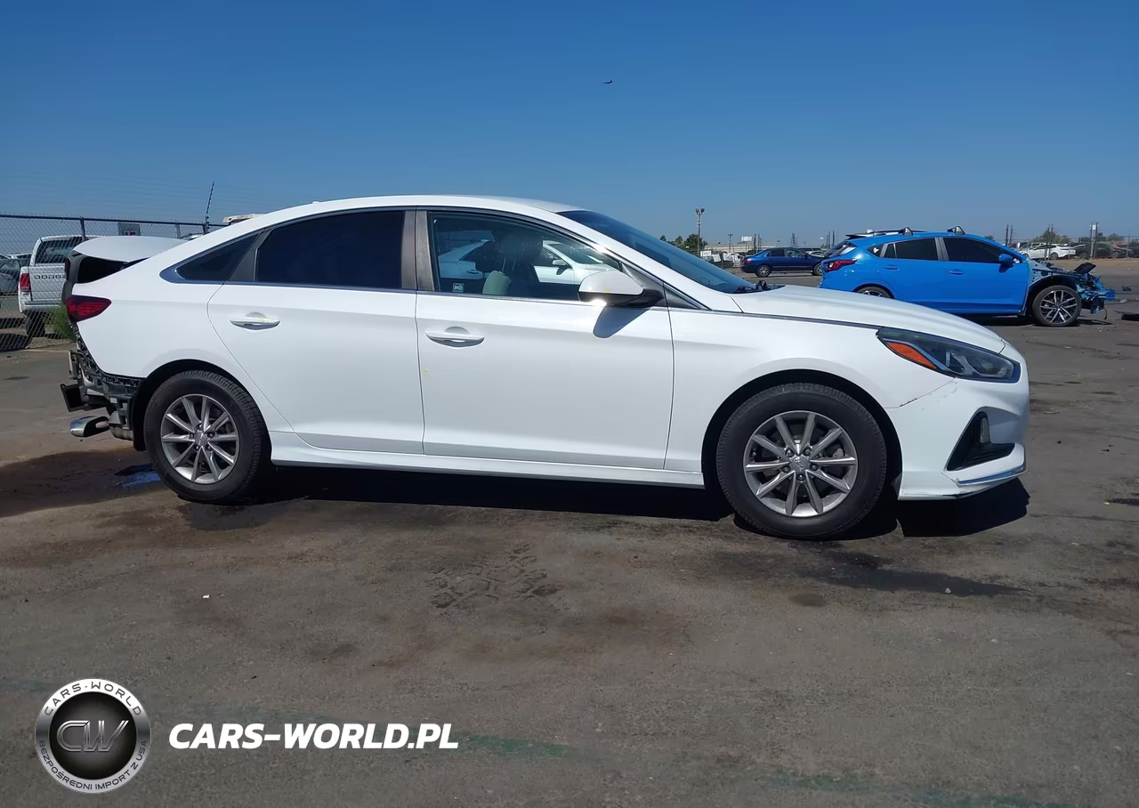 2019 Hyundai Sonata Se VIN:5NPE24AF0KH799200 - 13