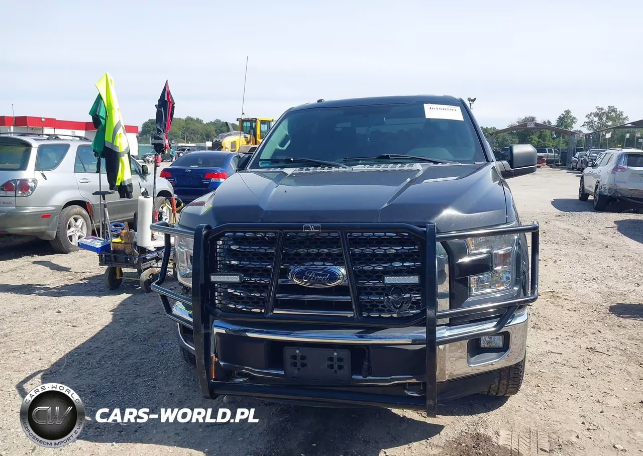 2015 Ford F-150 Xlt VIN:1FTFW1EF8FFA35693 - 13