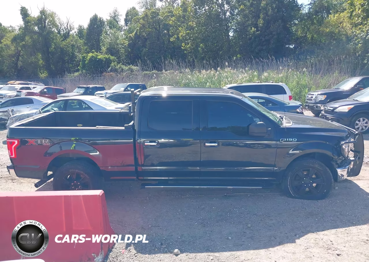 2015 Ford F-150 Xlt VIN:1FTFW1EF8FFA35693 - 14