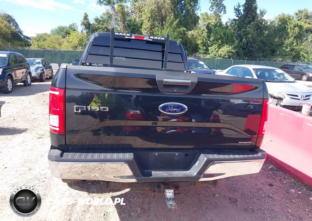 2015 Ford F-150 Xlt VIN:1FTFW1EF8FFA35693 - 17