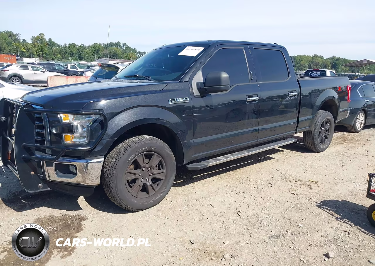 2015 Ford F-150 Xlt VIN:1FTFW1EF8FFA35693 - 2