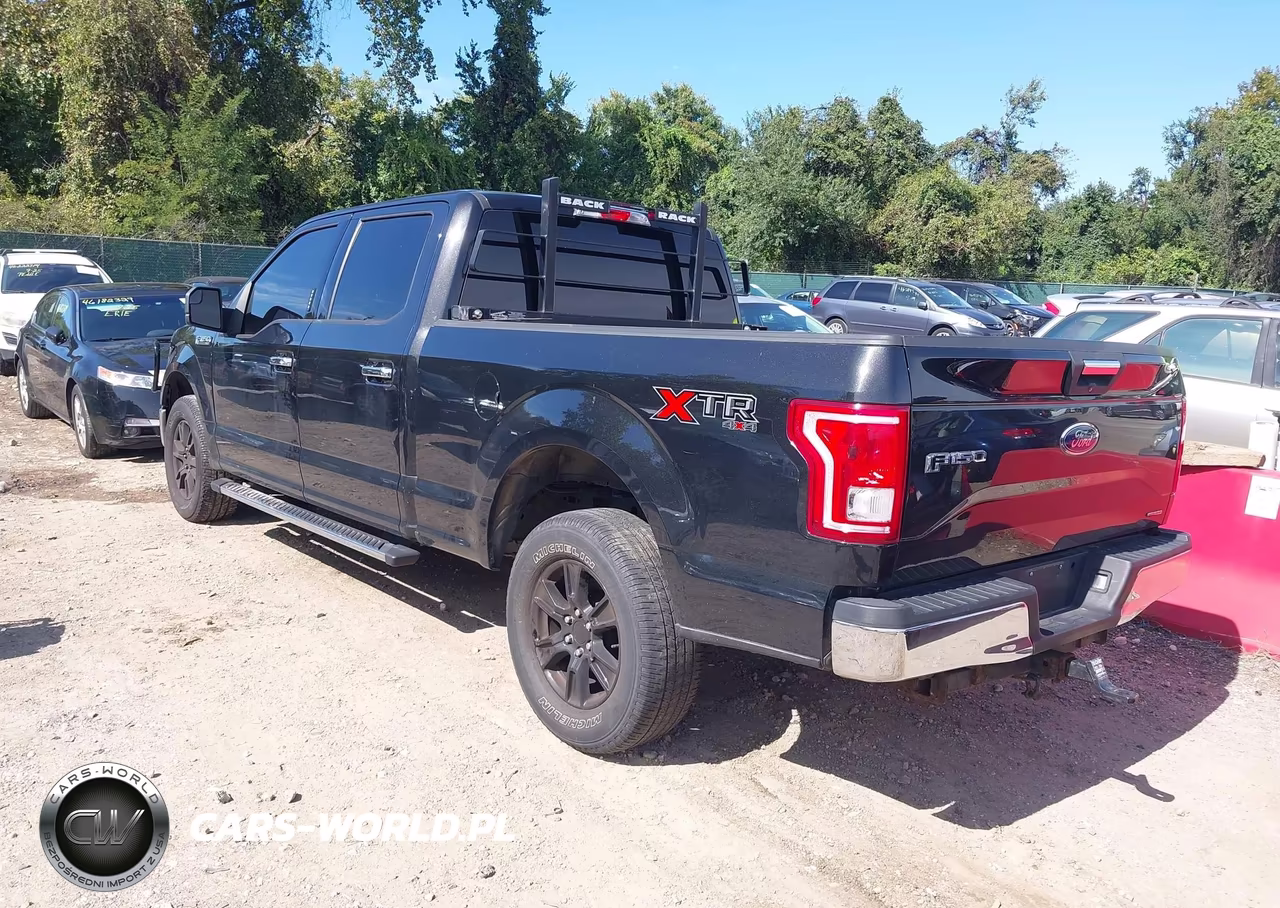 2015 Ford F-150 Xlt VIN:1FTFW1EF8FFA35693 - 3