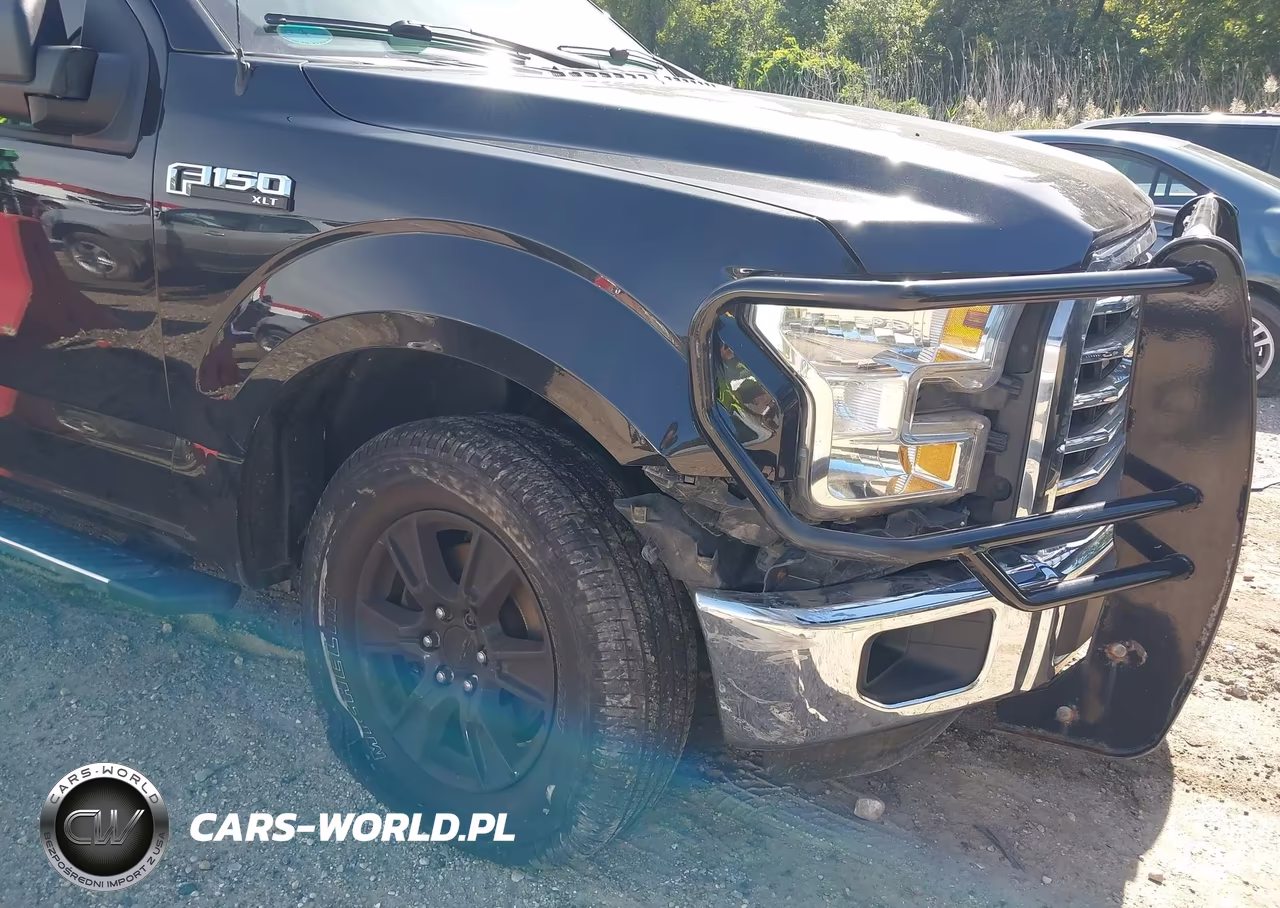 2015 Ford F-150 Xlt VIN:1FTFW1EF8FFA35693 - 6
