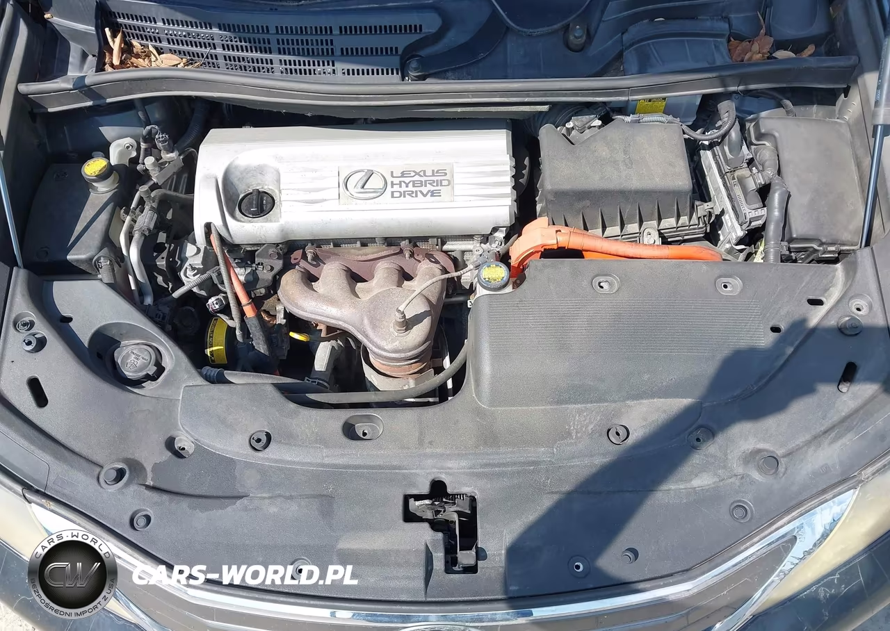 2010 Lexus Hs 250H Premium VIN:JTHBB1BA1A2006263 - 10