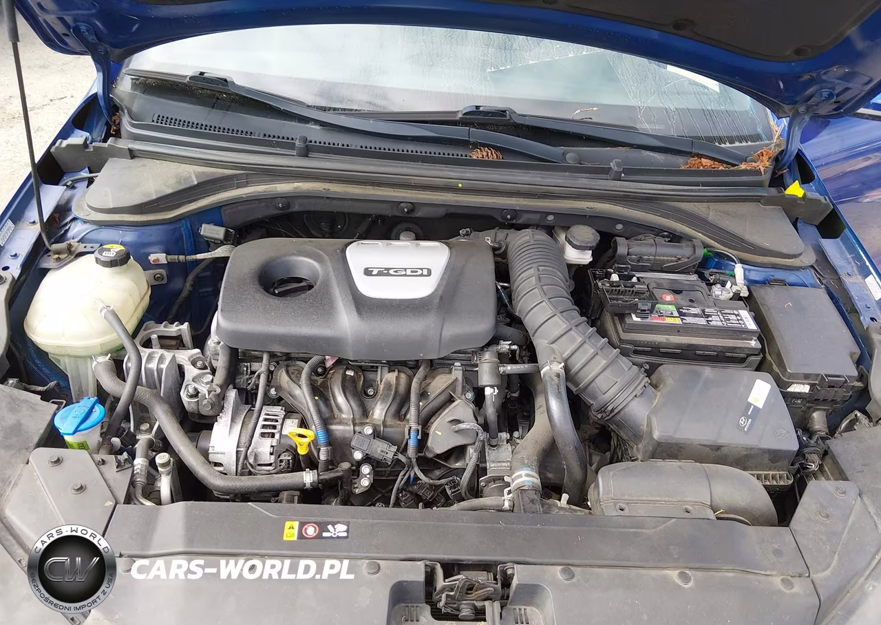 2020 Hyundai Elantra Sport VIN:KMHD04LB4LU992772 - 10