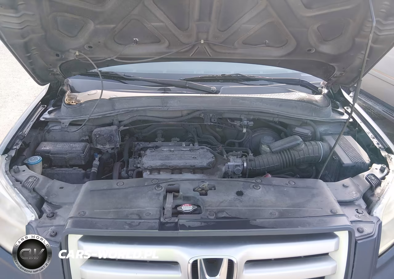 2006 Honda Pilot Ex VIN:5FNYF28496B008743 - 10