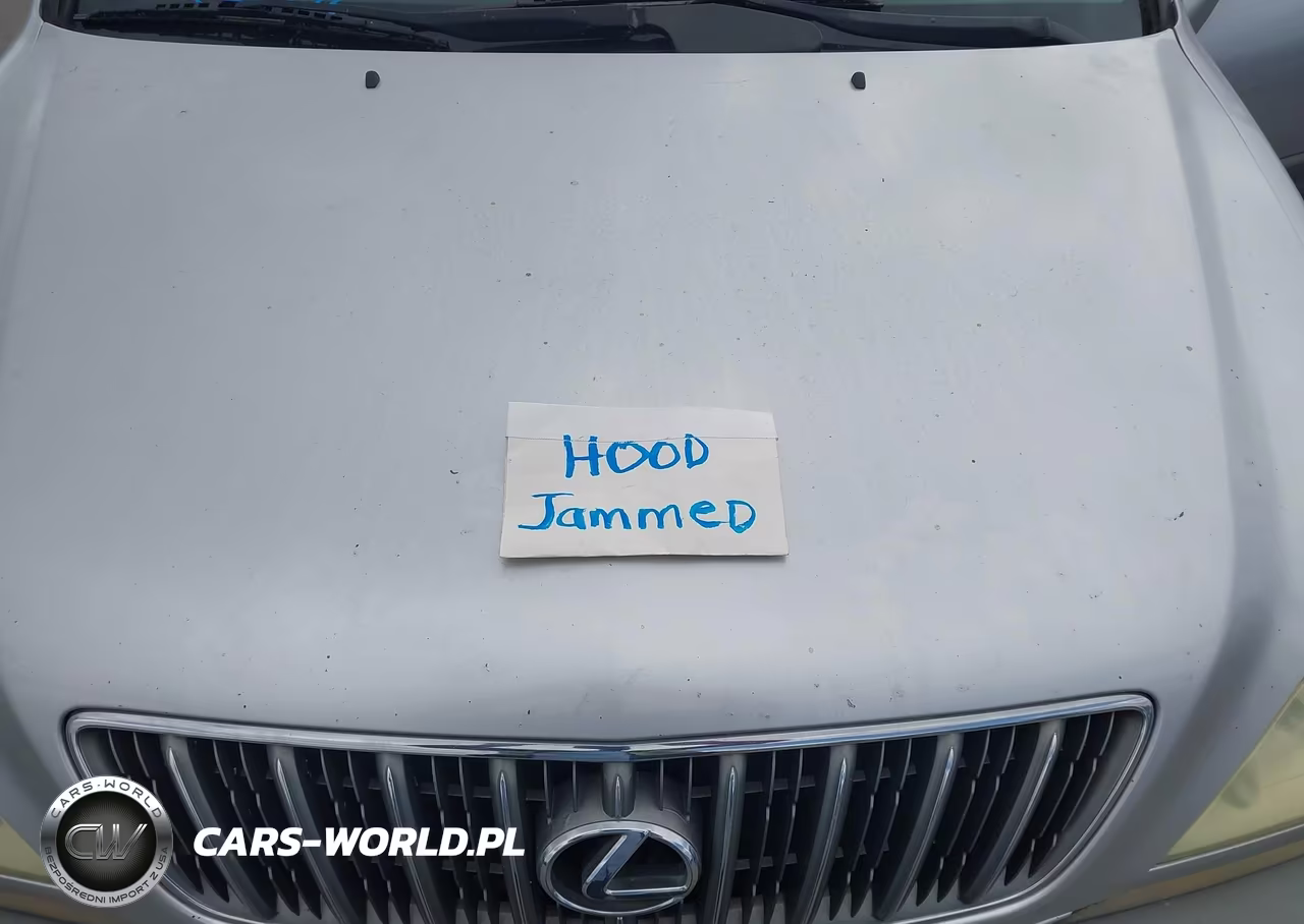 2002 Lexus Rx 300 VIN:JTJGF10U620143976 - 10