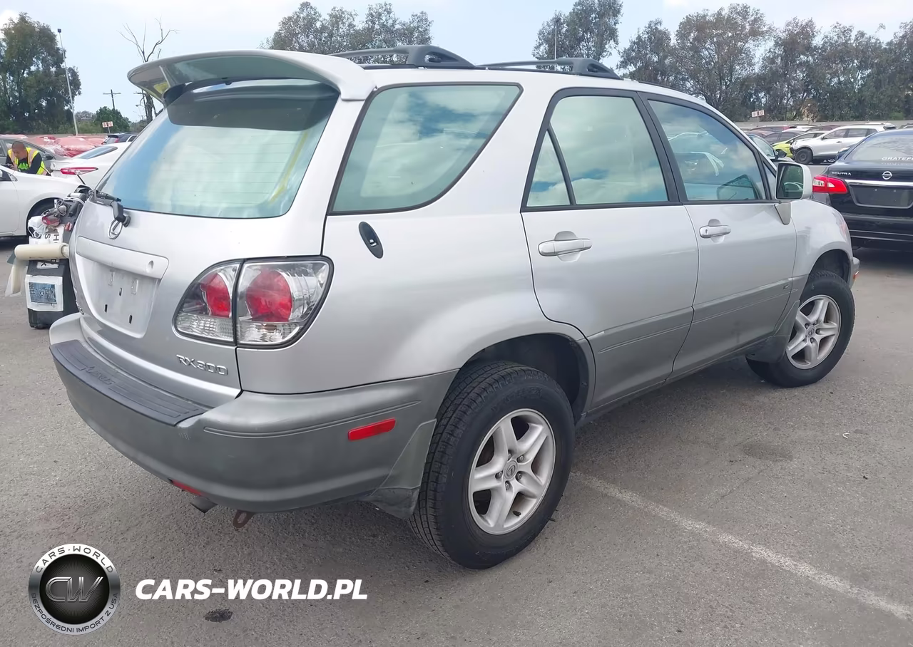 2002 Lexus Rx 300 VIN:JTJGF10U620143976 - 4