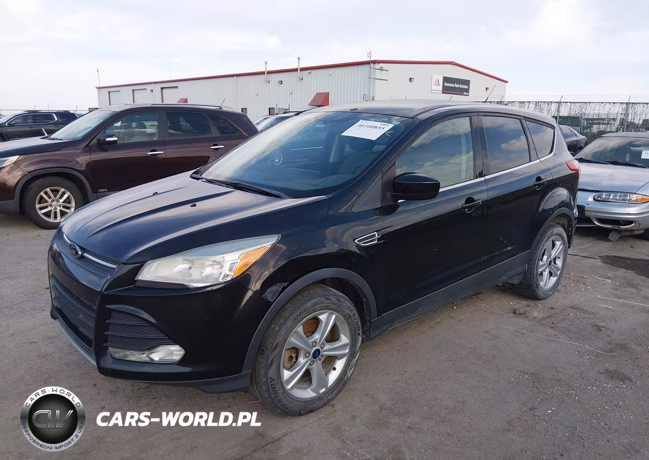 2013 Ford Escape Se VIN:1FMCU0G98DUD54283 - 2