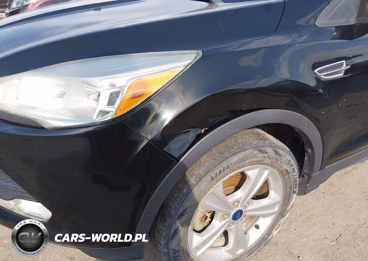 2013 Ford Escape Se VIN:1FMCU0G98DUD54283 - 6